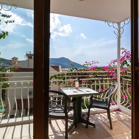 Korsan No.16 * 카스